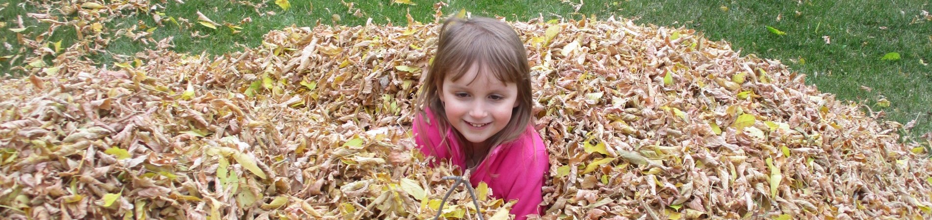 Little girl in pile of fall leaves